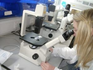 We use light microscopes to look at our cells