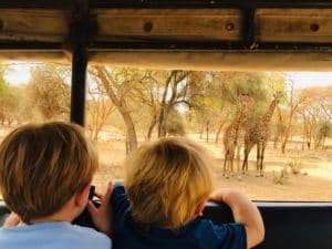 on safari