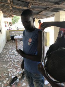 Field worker demonstrating measurements taken