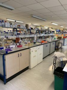 "Wet lab" - sample preparation area, and some very busy shelves.