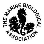 Team Marine