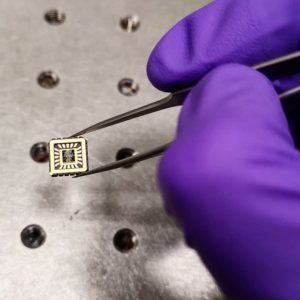 Purple gloved hands holding a chip carrier with tweezers