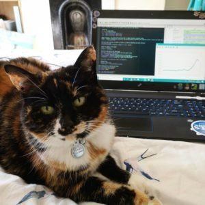 A tortoiseshell and white cat laying in front of a laptop with computer code on it
