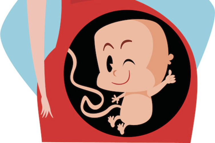 Graphical depiction of a baby in a womb