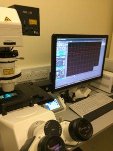 Picture showing confocal laser scanning microscope 