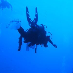 A scuba diver in sillouette swimming away from the camera