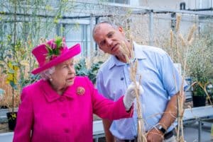 Queen Elizabeth II concentrating on a wheat plant in the greenhouse, with Phil Howell